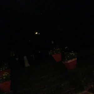 Meet your Posher, Therese